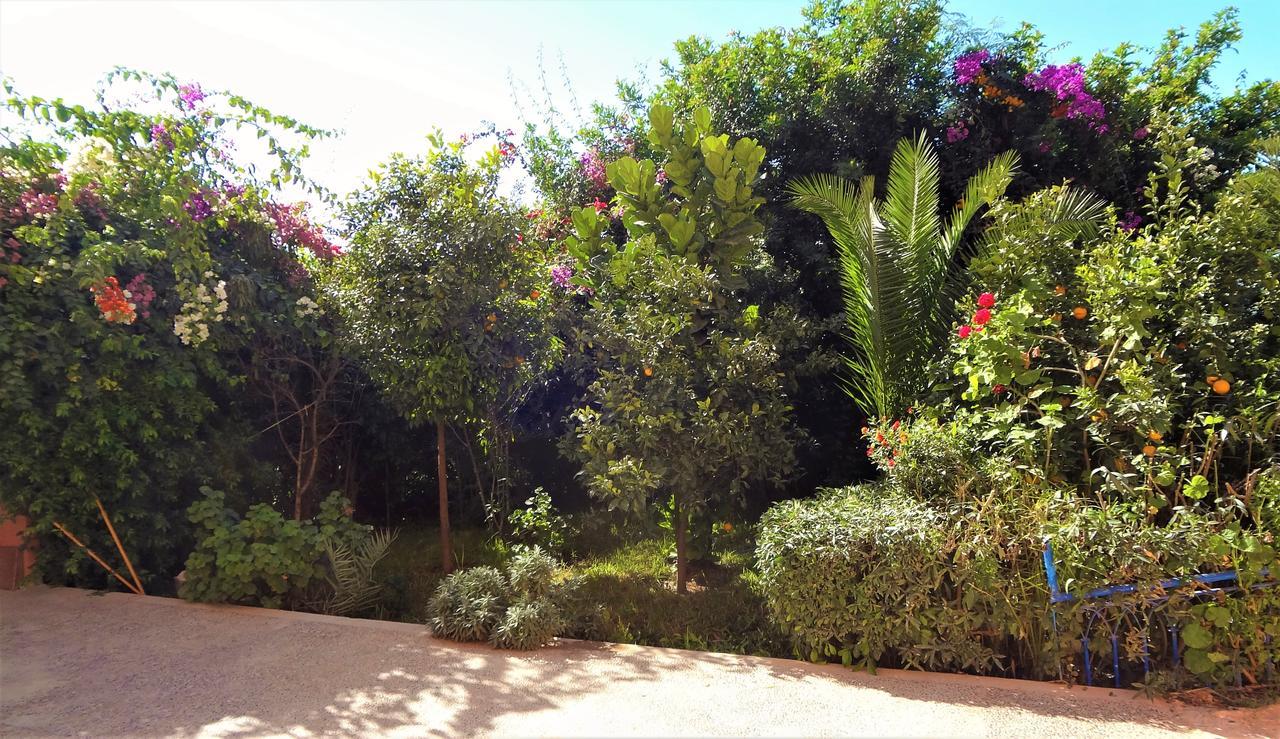 Surf & Yoga Paradise Morocco Tamraght Bagian luar foto