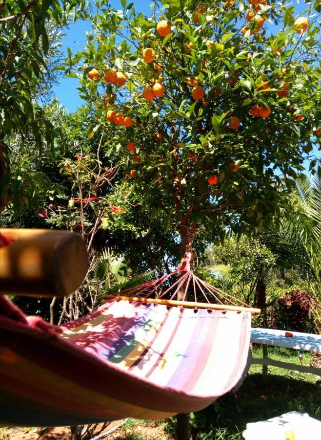 Surf & Yoga Paradise Morocco Tamraght Bagian luar foto